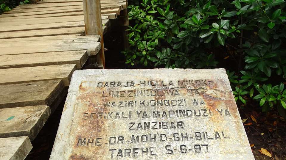 Jozani Forest Tour - Zanzibar Tours & Travel - Tanzania - Image 2