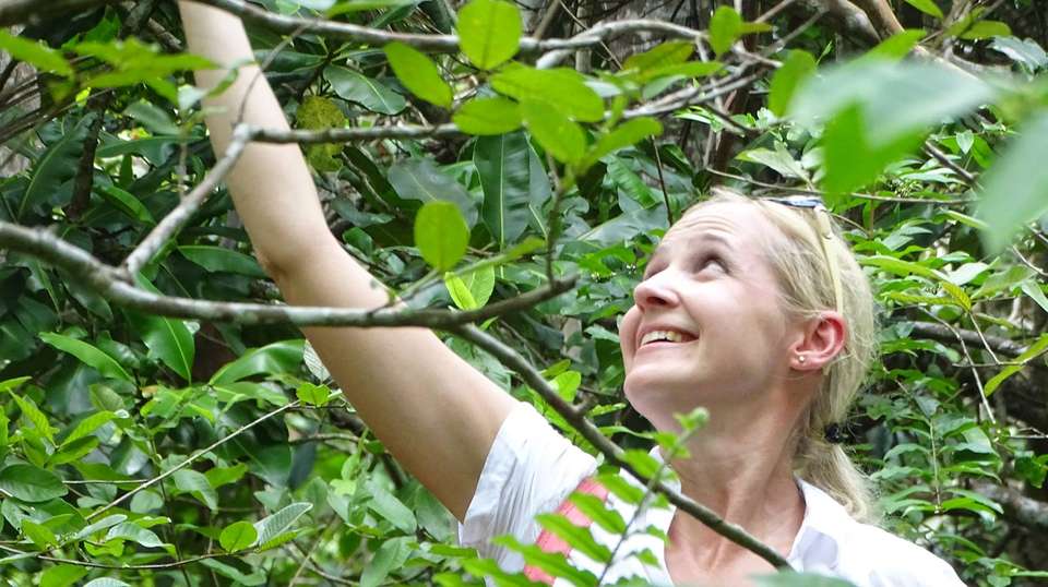 Jozani Forest Tour - Zanzibar Tours & Travel - Tanzania - Image 6