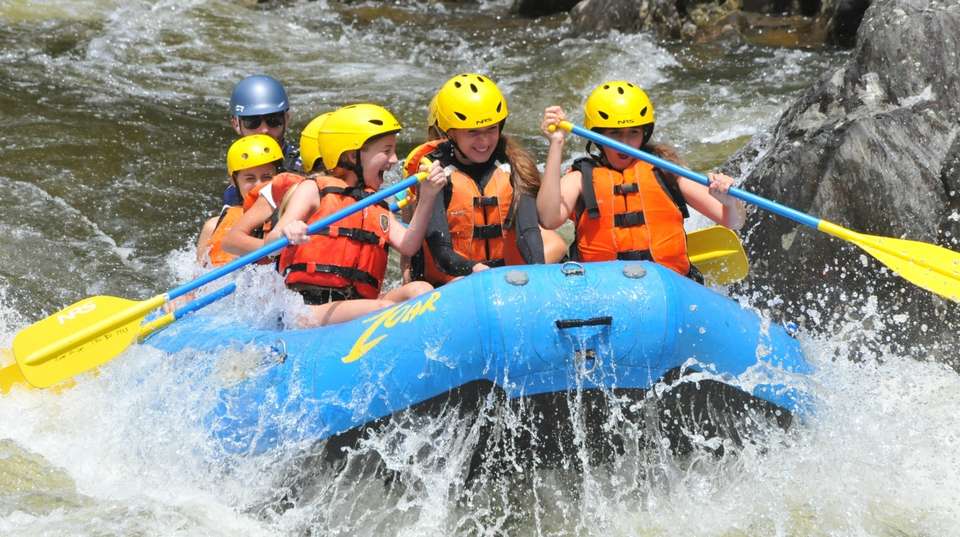 Jungle and Island Expedition - Greenway Nature Tours - Costa Rica - Image 14
