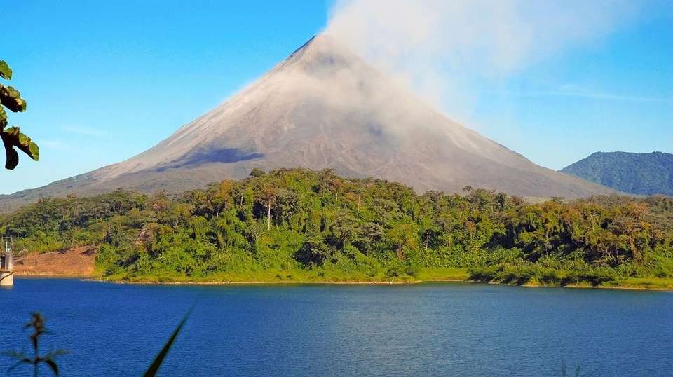 Jungle and Island Expedition - Greenway Nature Tours - Costa Rica - Image 20
