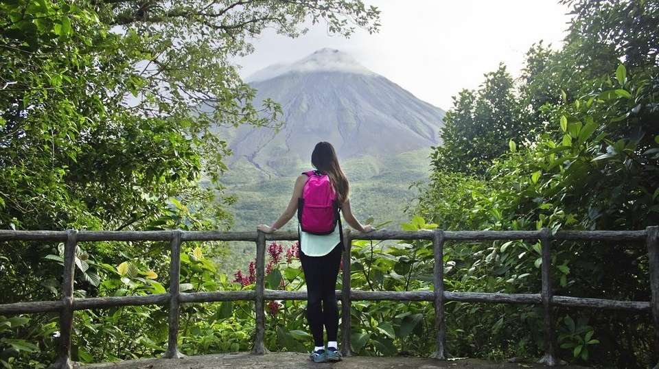 Jungle and Island Expedition - Greenway Nature Tours - Costa Rica - Image 19