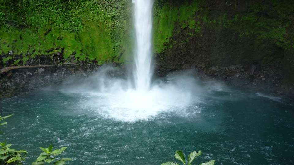 Jungle and Island Expedition - Greenway Nature Tours - Costa Rica - Image 15