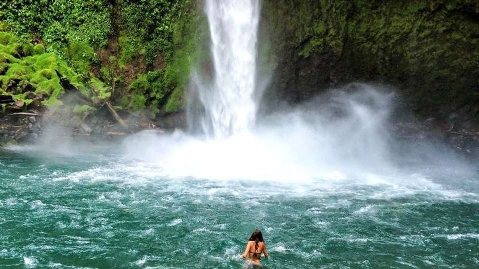 Jungle and Island Expedition - Greenway Nature Tours - Costa Rica - Image 12