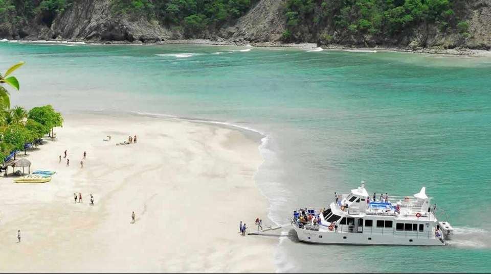 Jungle and Island Expedition - Greenway Nature Tours - Costa Rica - Image 5