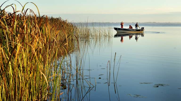 Jungle & Wetlands: Iguazu & Iberá - Fall tours