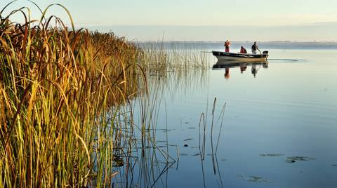 Jungle & Wetlands: Iguazu & Iberá - Fall Tours