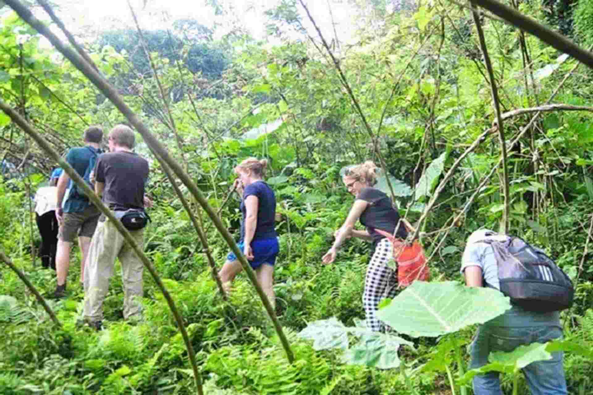 Ba Be National Park Trekking & Caving 4 Days