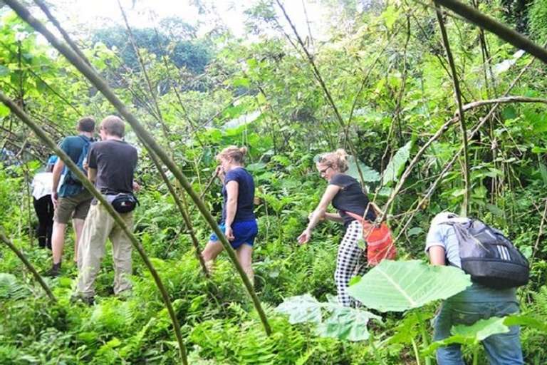 Ba Be National Park Trekking & Caving 4 Days trip - alternative tour available
