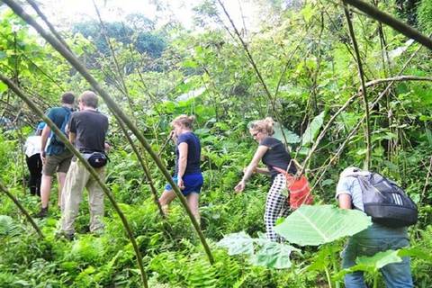 Hanoi Active And Outdoor Tour: Ba Be National Park Trekking & Caving 4 Days