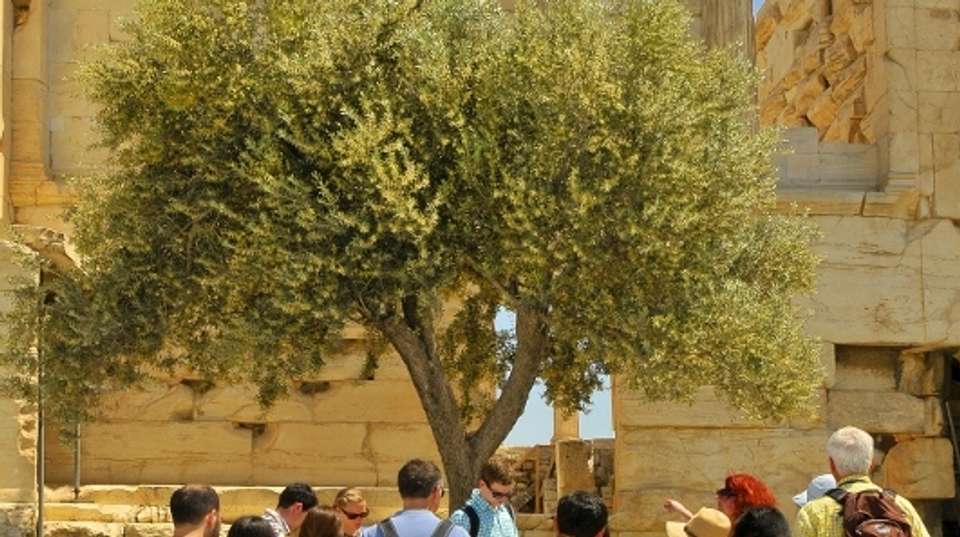 Just the Acropolis & Acropolis Museum Tour - Athens Walking Tours - Greece - Image 2