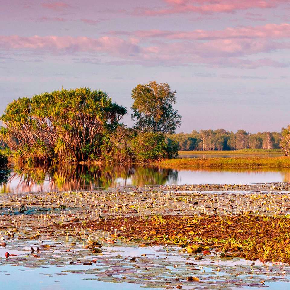 Kakadu and Arnhem Land Explorer - Aat Kings - Australia - Image 5