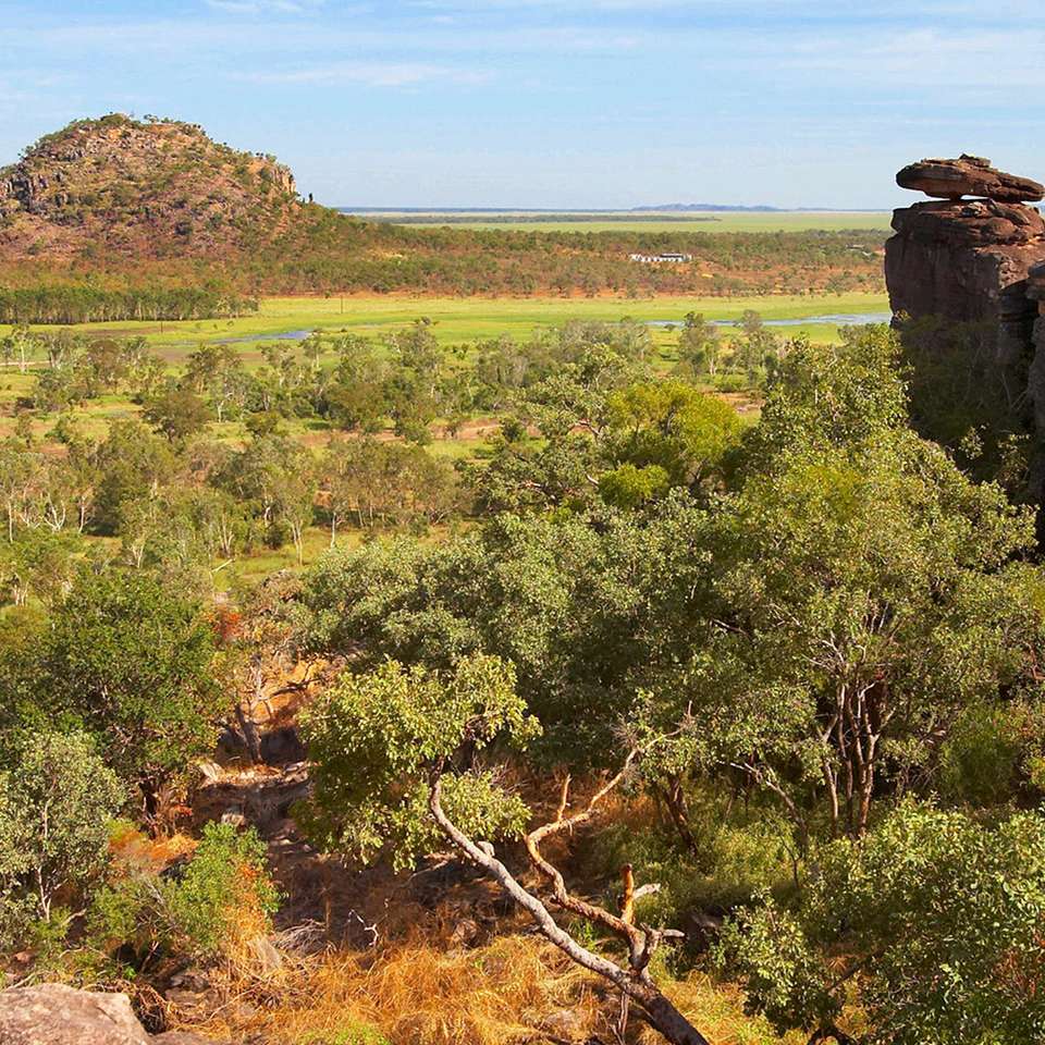 Kakadu and Arnhemland - Aat Kings - Australia - Image 3