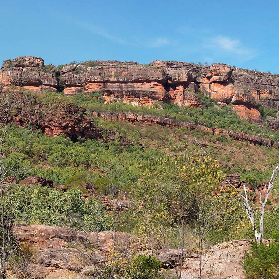 Kakadu and Arnhemland - Aat Kings - Australia - Image 4