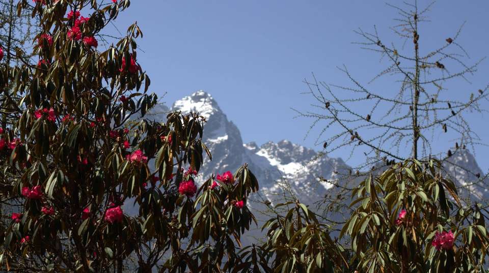 Kanchanjunga Base Camp trek - Nepal Eco Adventure Pvt Ltd - Nepal - Image 1