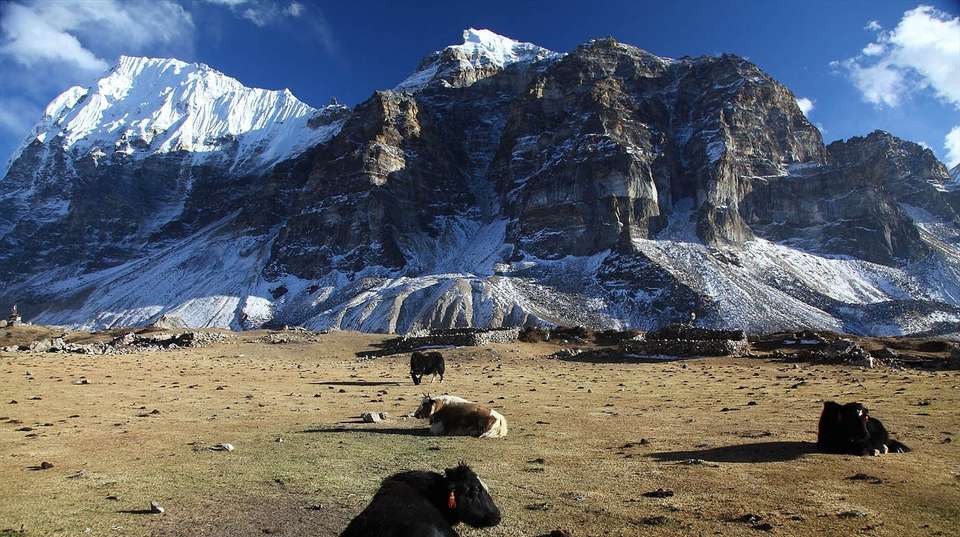Kanchenjunga Base Camp Trek - Glorious Himalaya Trekking Pvt Ltd. - Nepal - Image 3