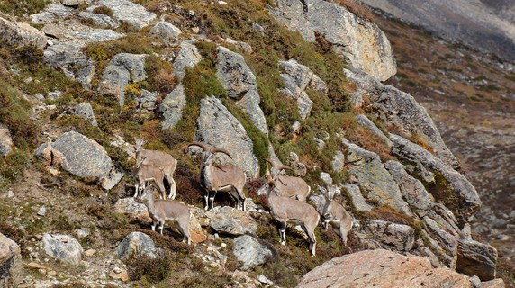 Image 3 of 7