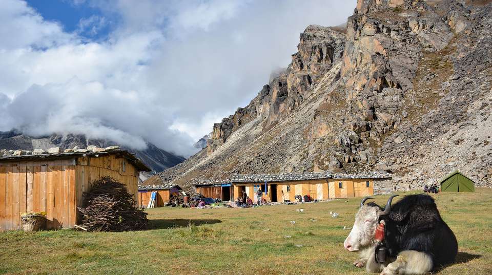 Kanchenjunga Base Camp Trek - Travel Max Guide - Nepal - Image 6