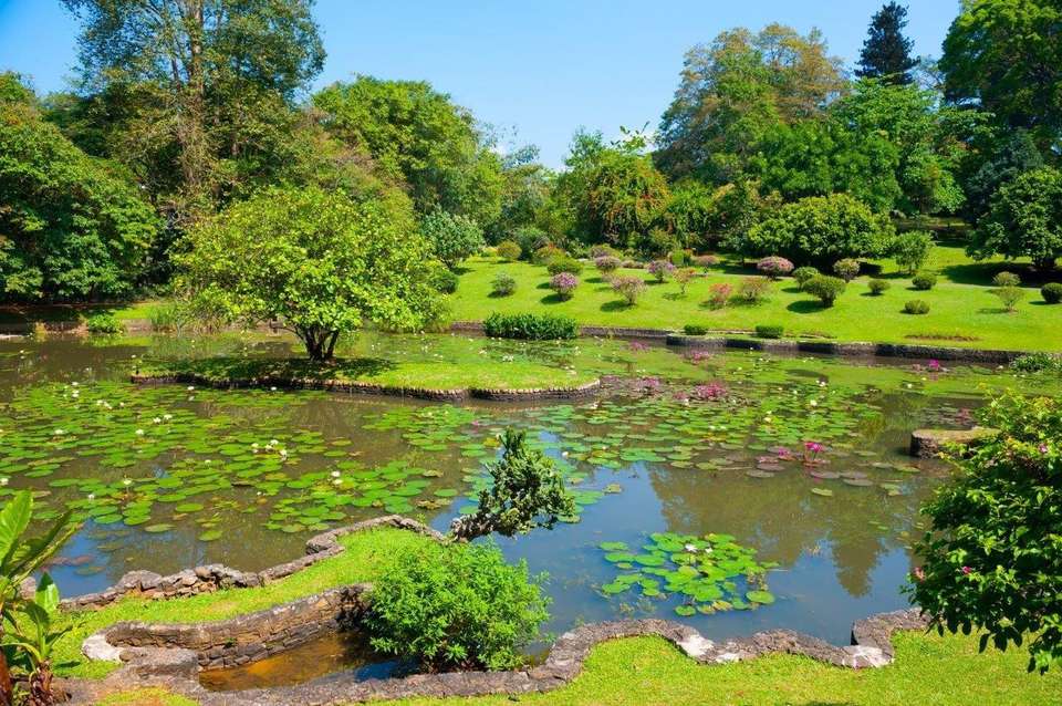 Kandy 2 Days, Private Tour - Destination Services - Sri Lanka - Image 7