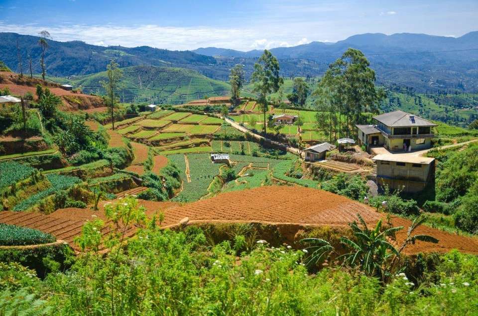 Kandy & Nuwara Eliya, Private Tour - Destination Services - Sri Lanka - Image 8