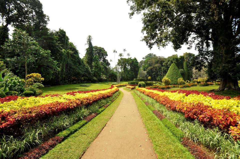 Kandy, Sigiriya & Dambulla 2 Days, Private Tour - Destination Services - Sri Lanka - Image 3