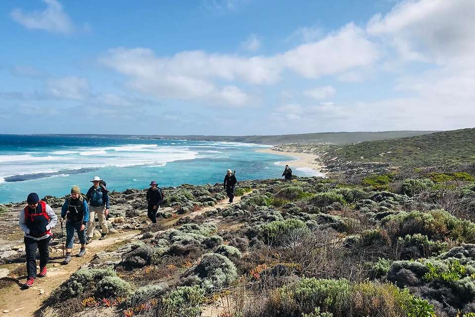 Kangaroo Island Independent Short Break - Intrepid Travel - Australia - Image 1