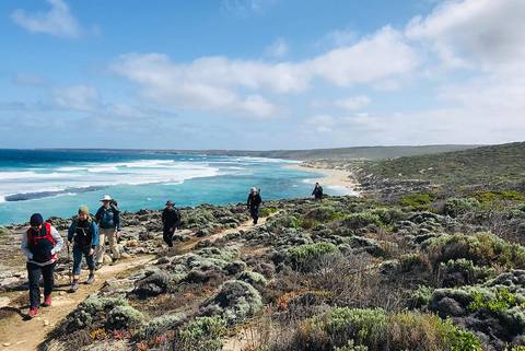Oceania Guided And Escorted Tours: Kangaroo Island Short Break Adventure
