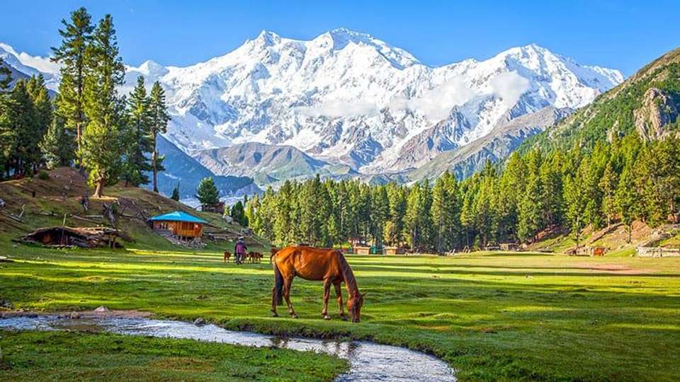 Karakorum Highlights - Oasis Overland - Pakistan - Image 3
