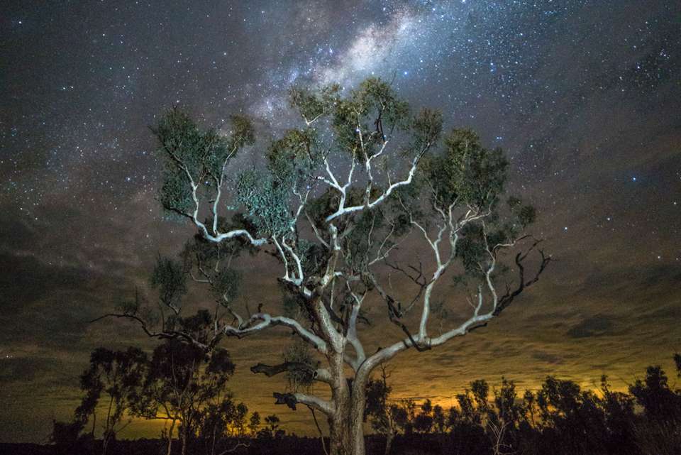 Karijini Explorer - Intrepid Travel - Australia - Image 7