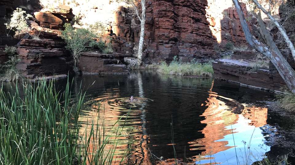 Karijini National Park, Stations & Ningaloo Reef 6 Day - Via Travel Australia - Australia - Image 4