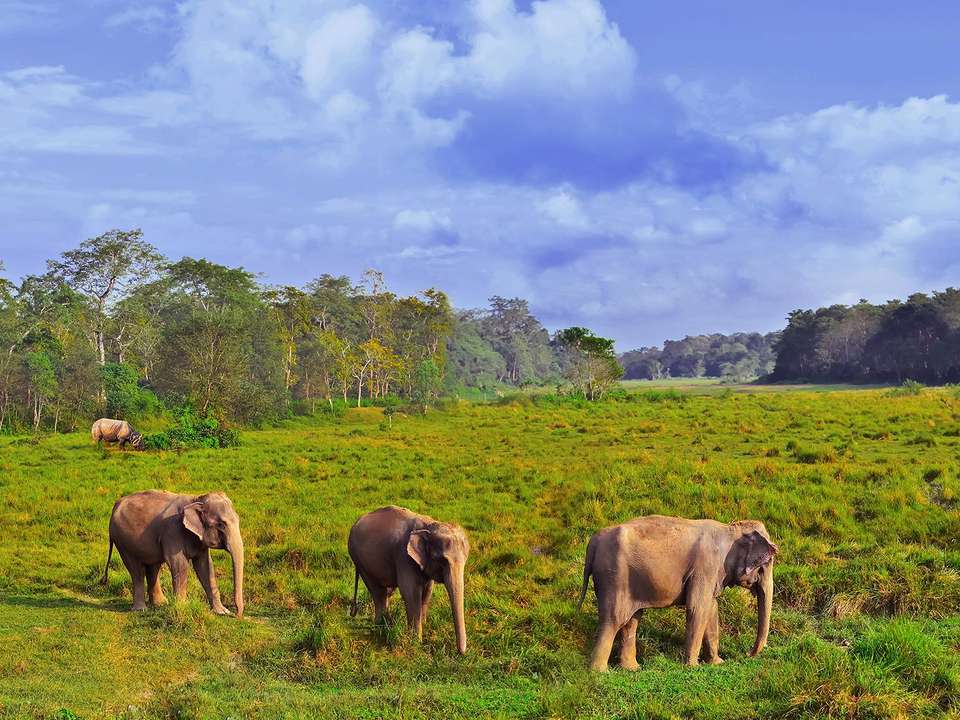 Kathmandu & Chitwan NP - 6 days - On The Go Tours - Nepal - Image 2