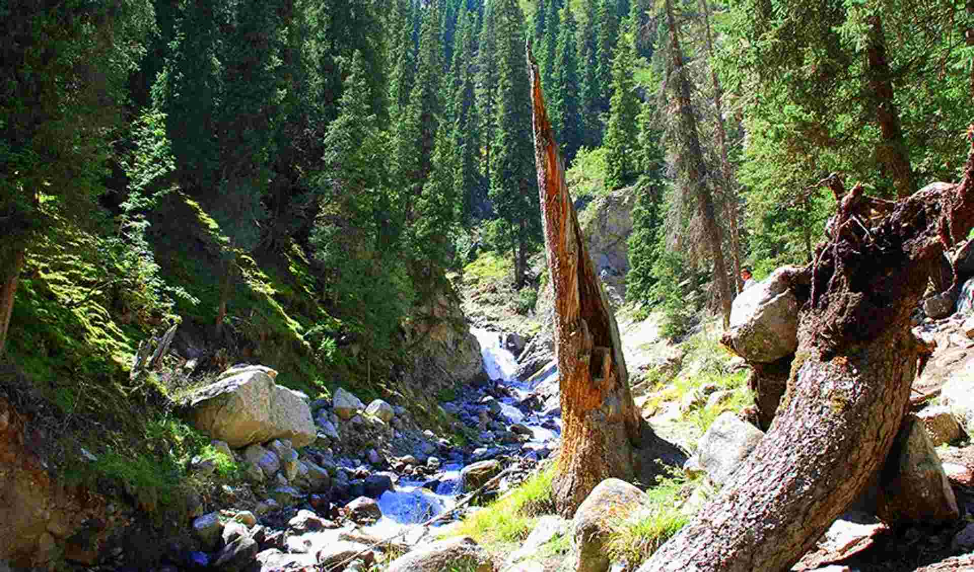 Kazakhstan to Kyrgyzstan Adventure 12D/11N