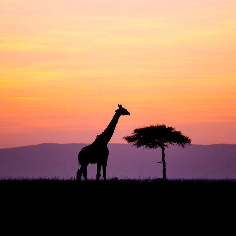 Kenya Budget Tours: Kenya Adventure