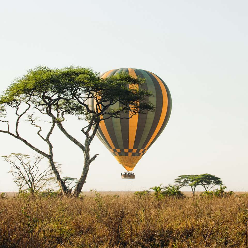 Kenya and Tanzania Adventure - undefined - Image 1