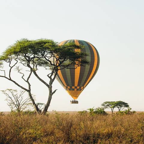 Kenya And Tanzania Adventure