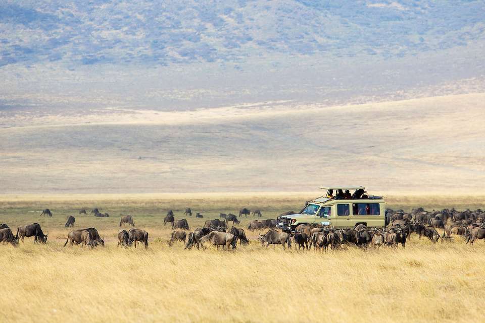 Kenya and Tanzania Family Safari - Intrepid Travel - Kenya - Image 6