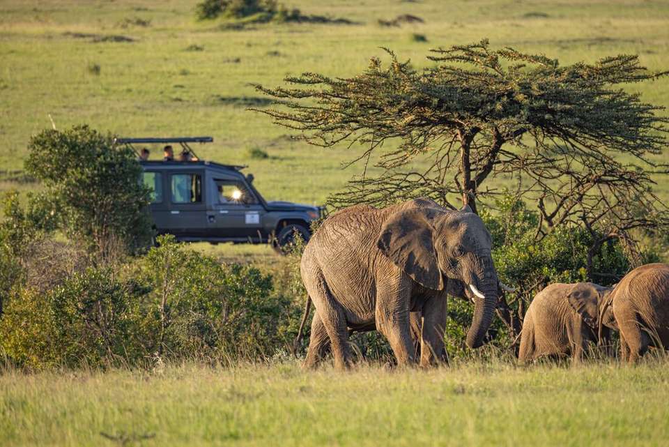 Kenya and Tanzania Family Safari - Intrepid Travel - Kenya - Image 10