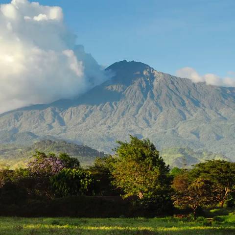 Explorer Tour: Kenya And Tanzania Safari - Small Group