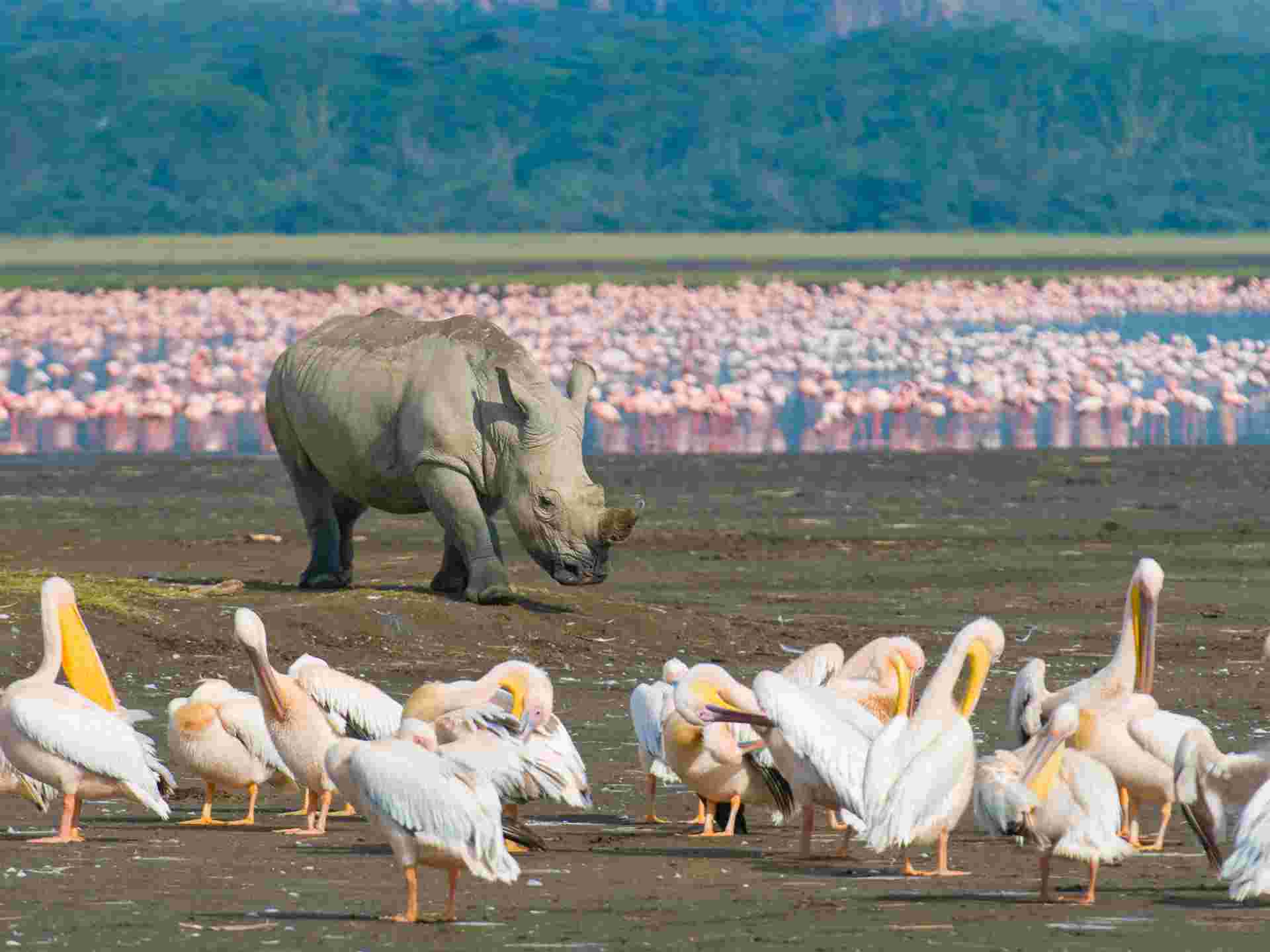 Kenya & Tanzania Trails - 13 days