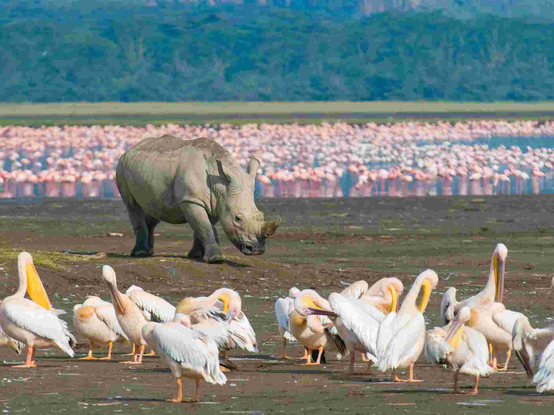 Kenya & Tanzania Trails - 13 days