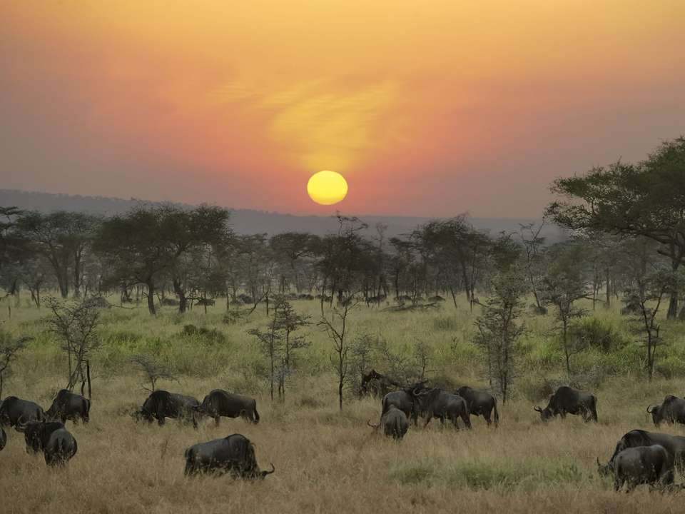 Kenya & Tanzania Trails - 13 days - On The Go Tours - Kenya - Image 5