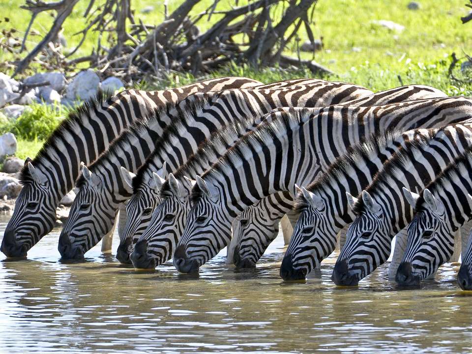 Kenya & Tanzania Trails - 13 days - On The Go Tours - Kenya - Image 8