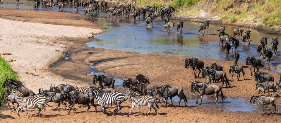 Kenya & Tanzania Wildlife Discoverer - World Expeditions - Kenya - Image 10