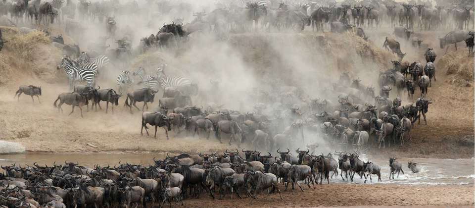 Kenya & Tanzania Wildlife Discoverer - undefined - Image 10