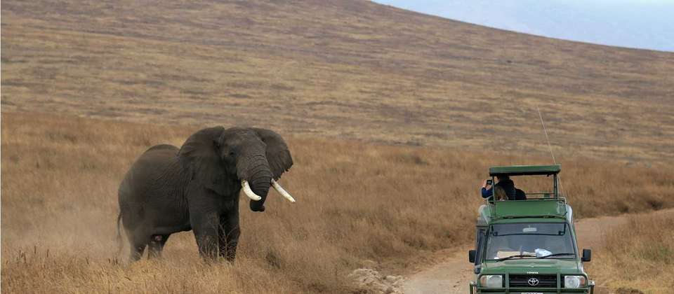 Kenya & Tanzania Wildlife Discoverer - undefined - Image 12