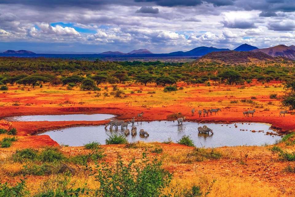 Kenya by Rail: Trains, Safaris & Beaches - Intrepid Travel - Kenya - Image 4