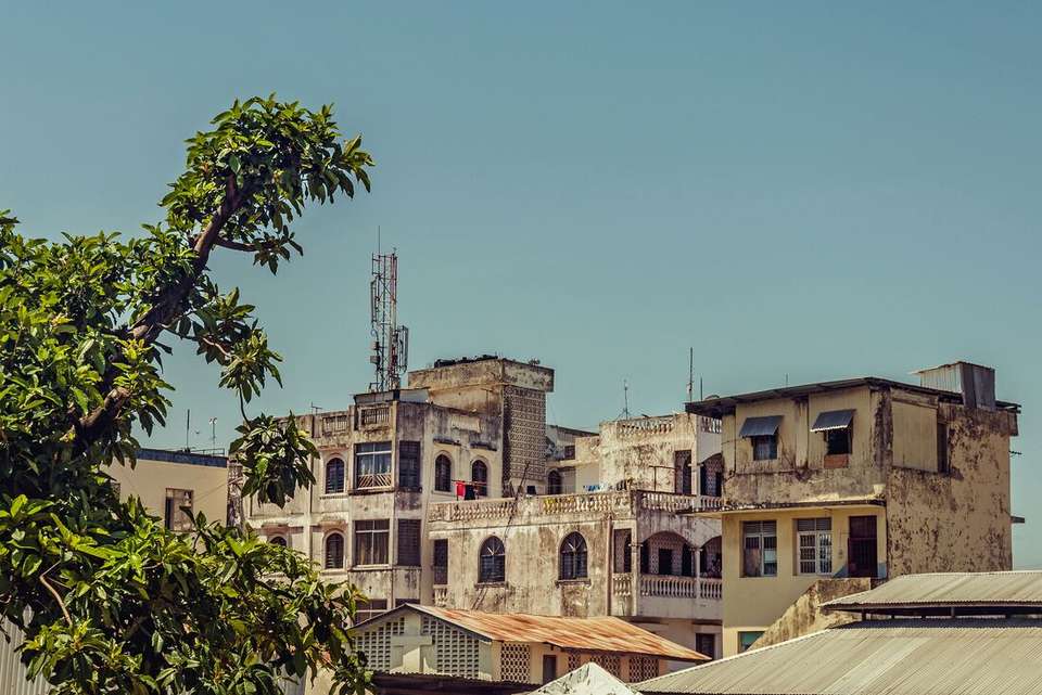 Kenya by Rail: Trains, Safaris & Beaches - Intrepid Travel - Kenya - Image 7