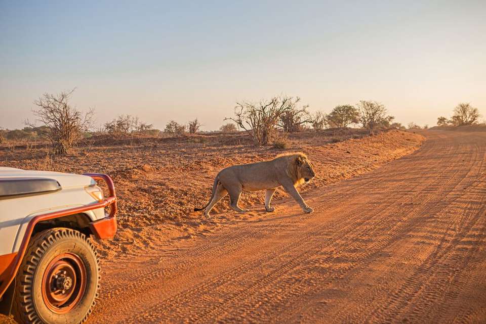 Kenya by Rail: Trains, Safaris & Beaches - Intrepid Travel - Kenya - Image 14