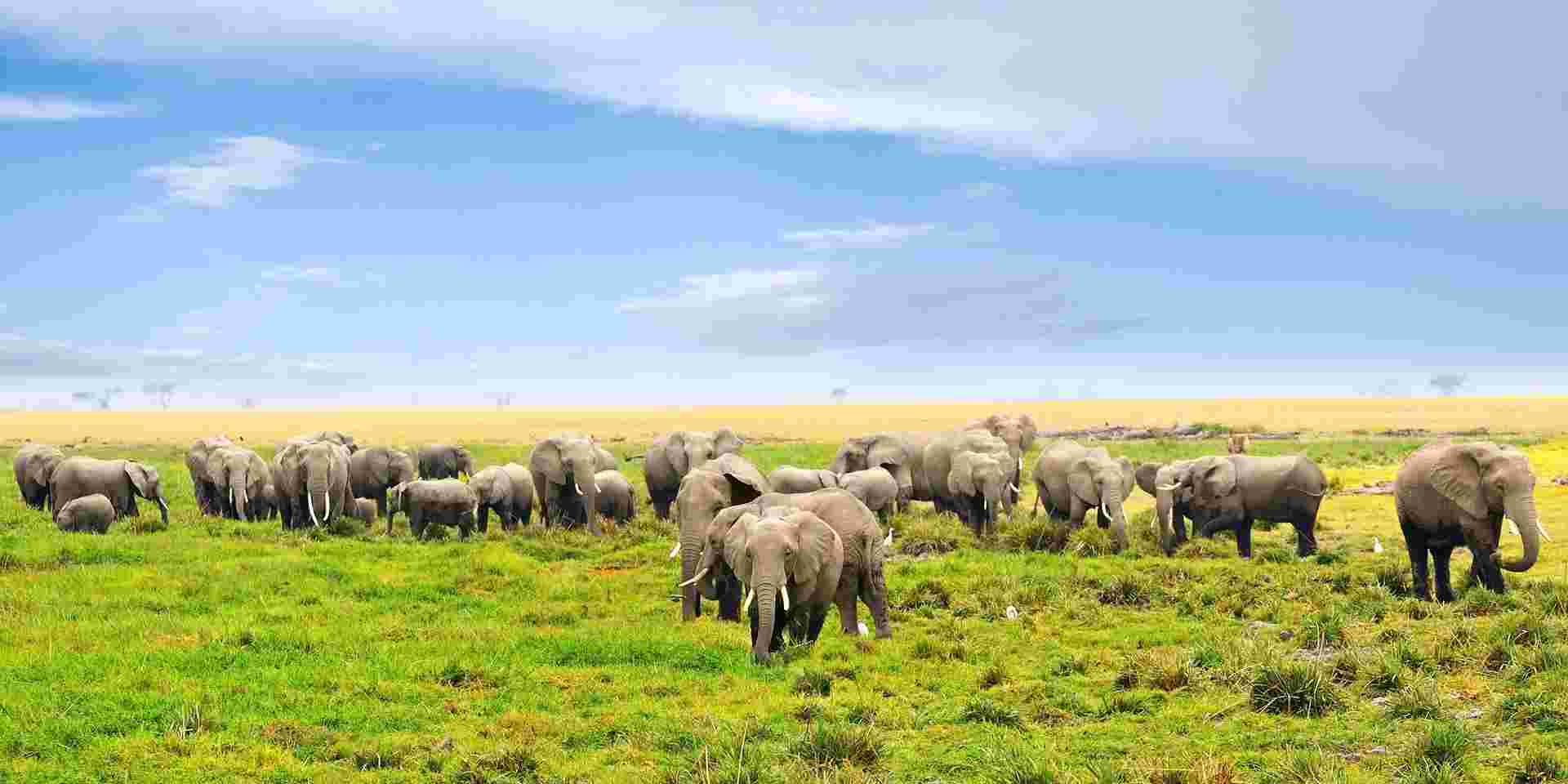 Kenya Classic, Sentrim Lodges