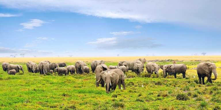 Kenya Classic, Sentrim Lodges - 7 days