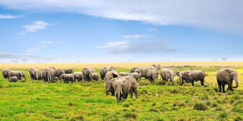 Kenya Classic, Sentrim Lodges - November 2026